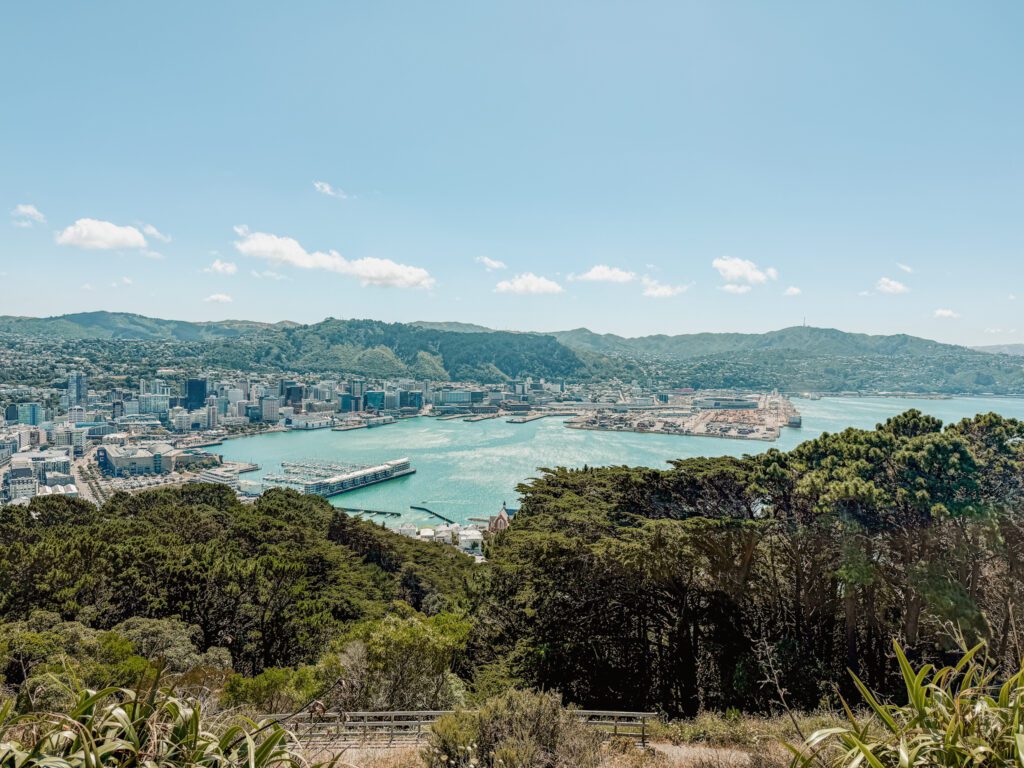 The view of a bay from the top of a mountain in Wellington