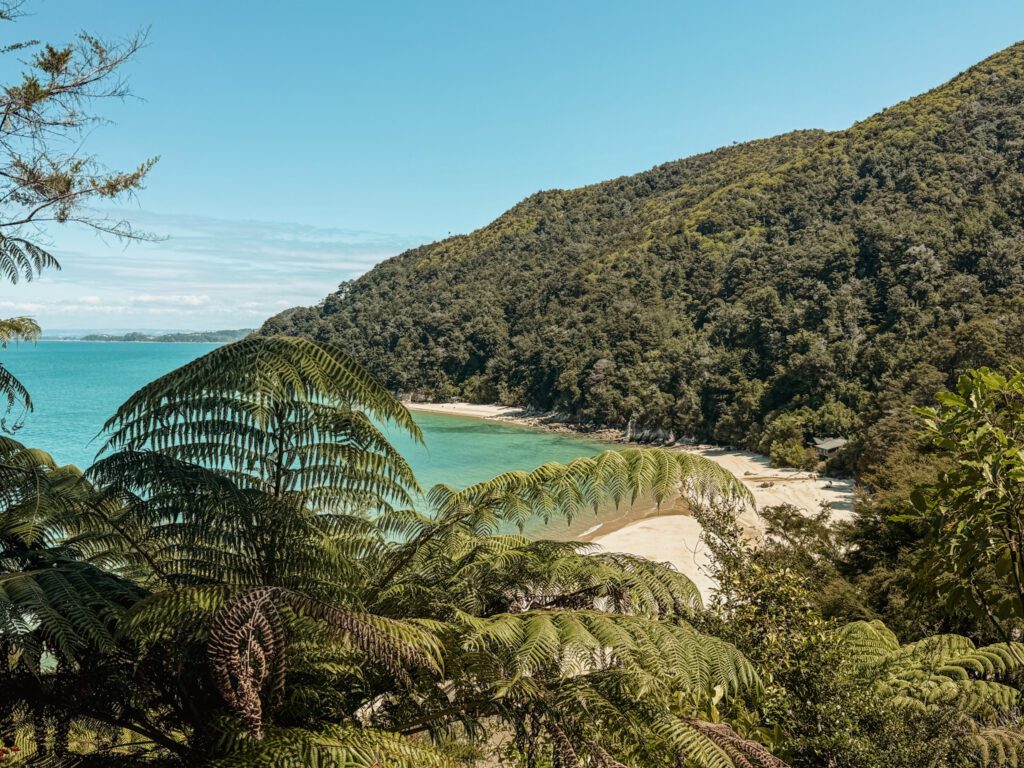 Overlooking a tropical beach from a hill in Abel Tasman National Park