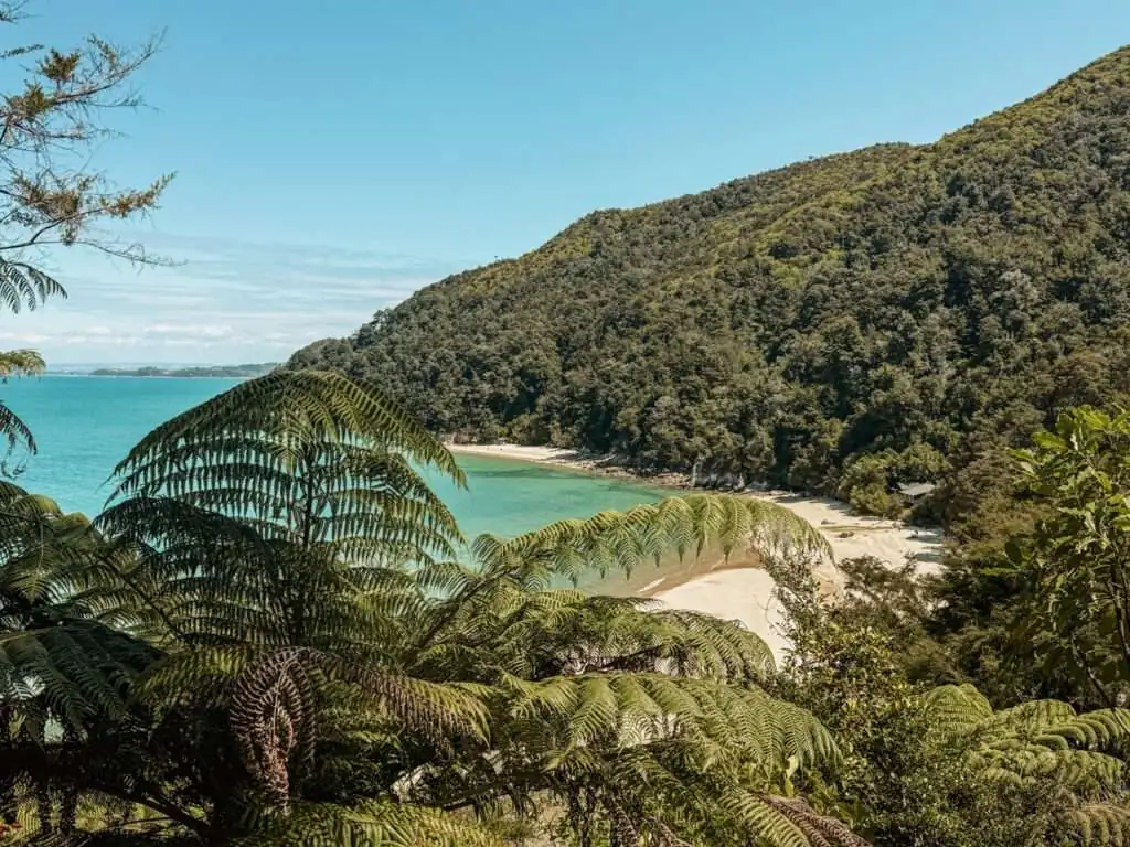 Overlooking a tropical beach from a hill - Things to do in Abel Tasman National Park