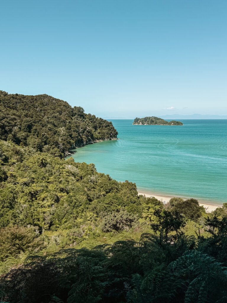 Overlooking a tropical coastline from a hill in Abel Tasman National Park