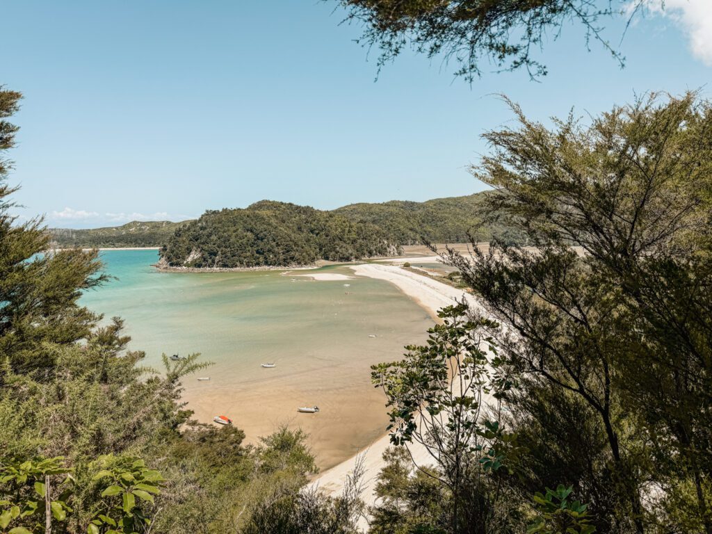 Overlooking a tropical beach from a hill in Abel Tasman National Park