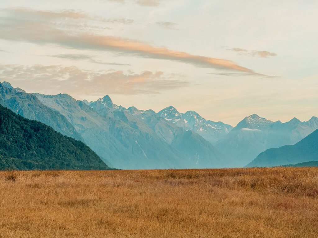 Mountains behind a yellow grassy fieldA mountain peaking out of a forested valley in Fiordland National Park