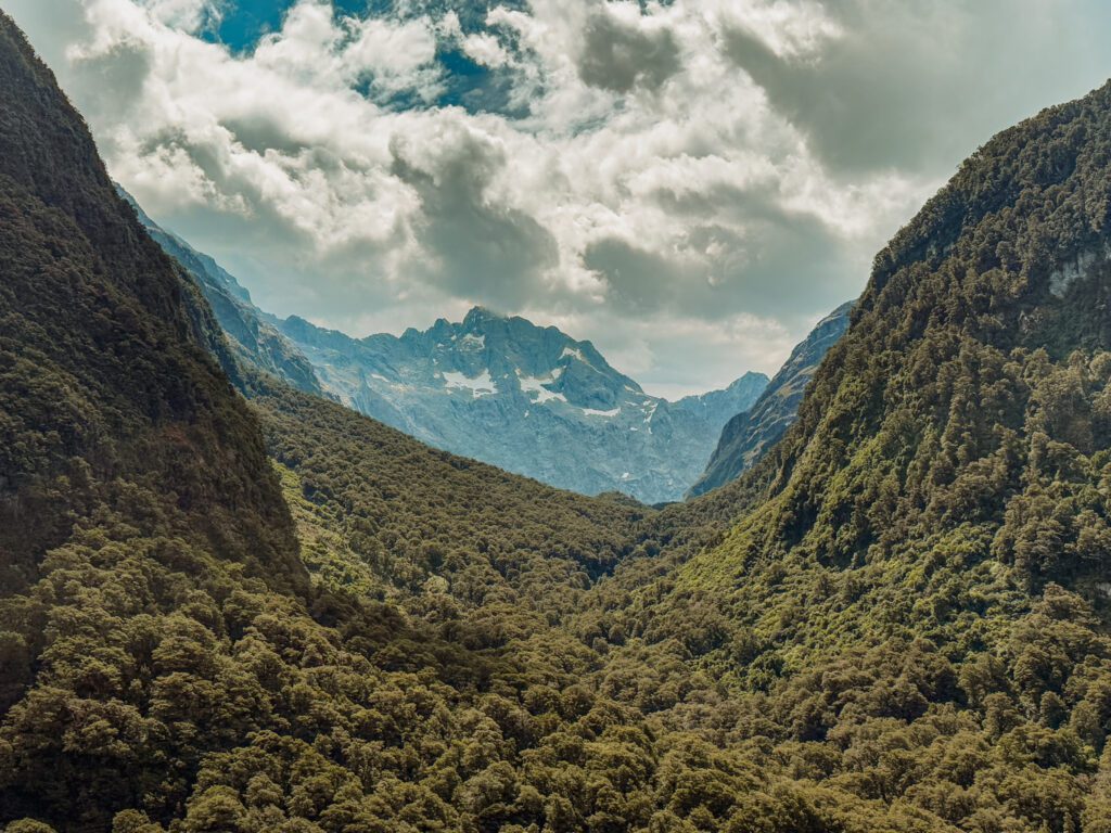 A mountain peaking out of a forested valley in Fiordland National Park