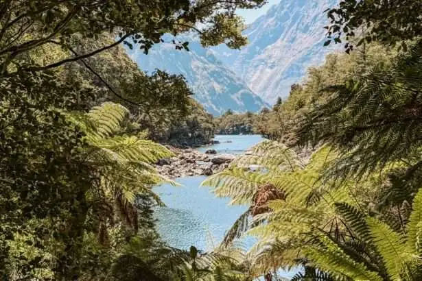 Looking through leaves of trees at a lake beneath a mountain - Fiordland National Park Te Anau to Milford Sound