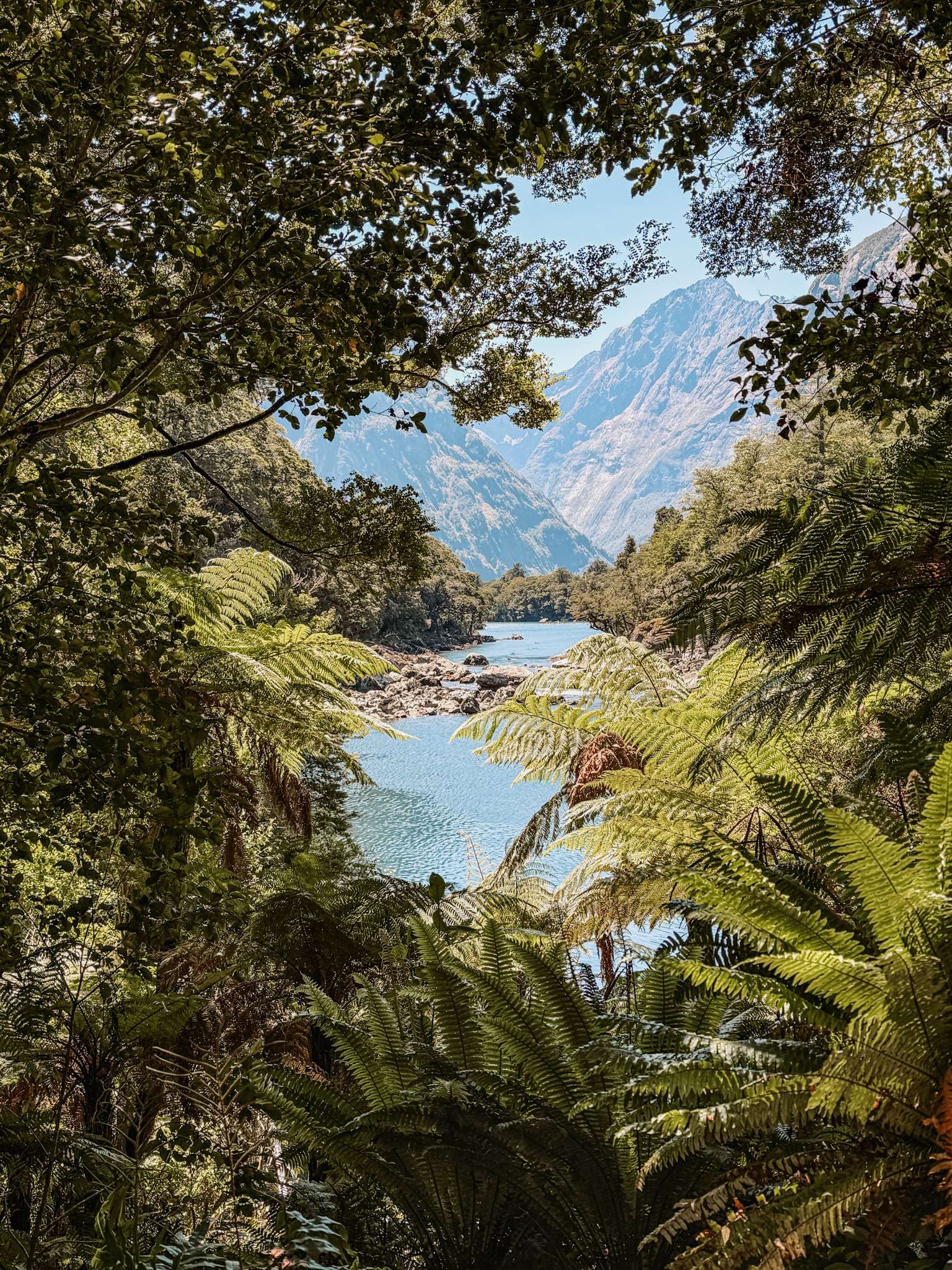 Looking through leaves of trees at a lake beneath a mountain - Fiordland National Park Te Anau to Milford Sound