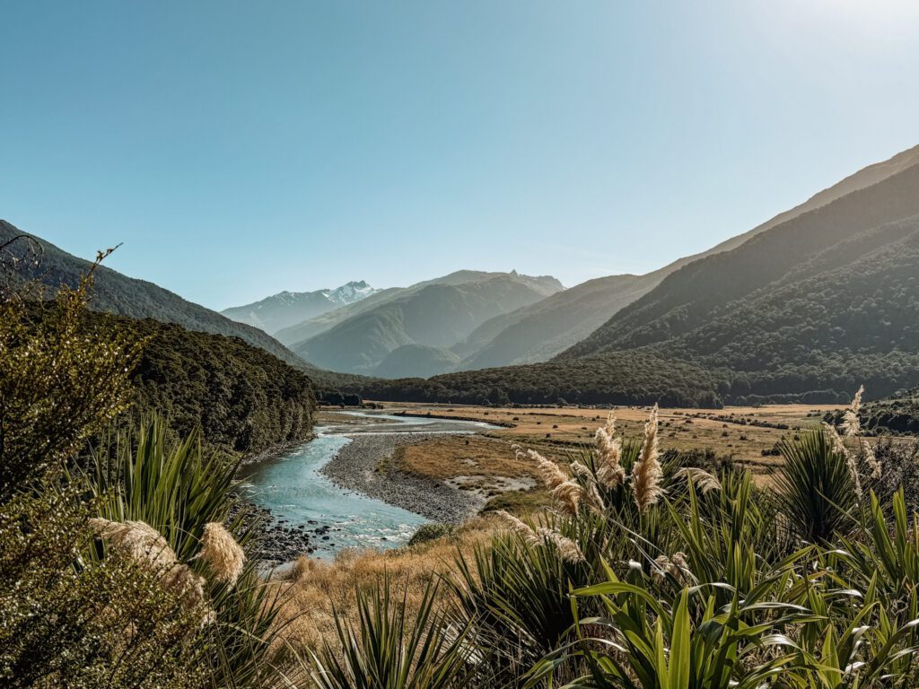 A river flowing through a valley covered in yellow grass on your way to the West Coast of New Zealand