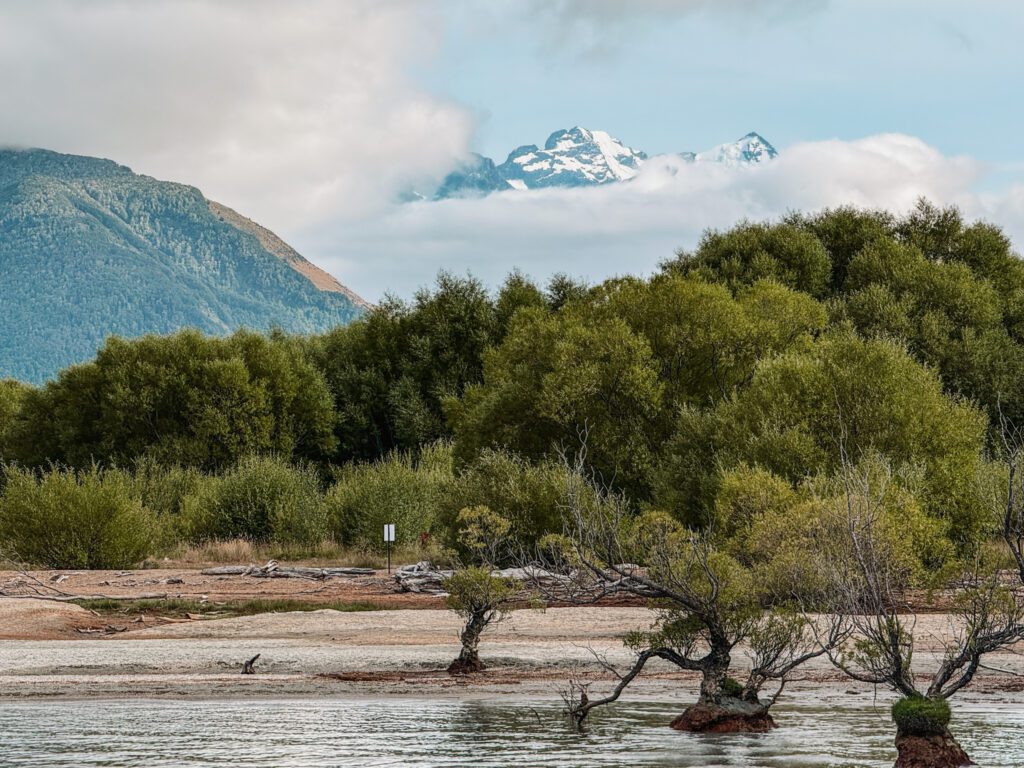 Trees and mountains at the edge of a river on the road between Queenstown and Christchurch