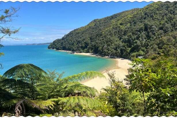 Overlooking a tropical beach from a hill in Abel Tasman National Park