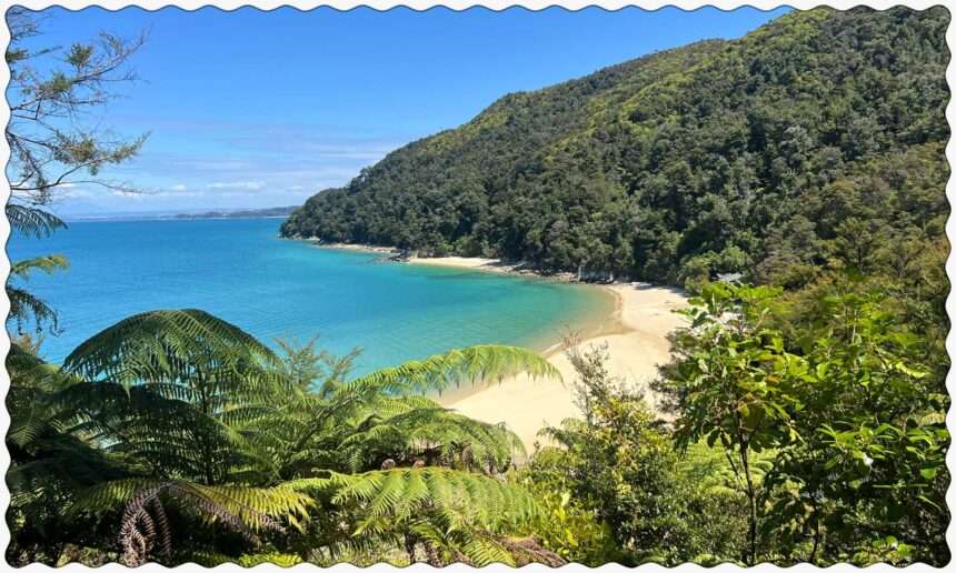 Overlooking a tropical beach from a hill in Abel Tasman National Park