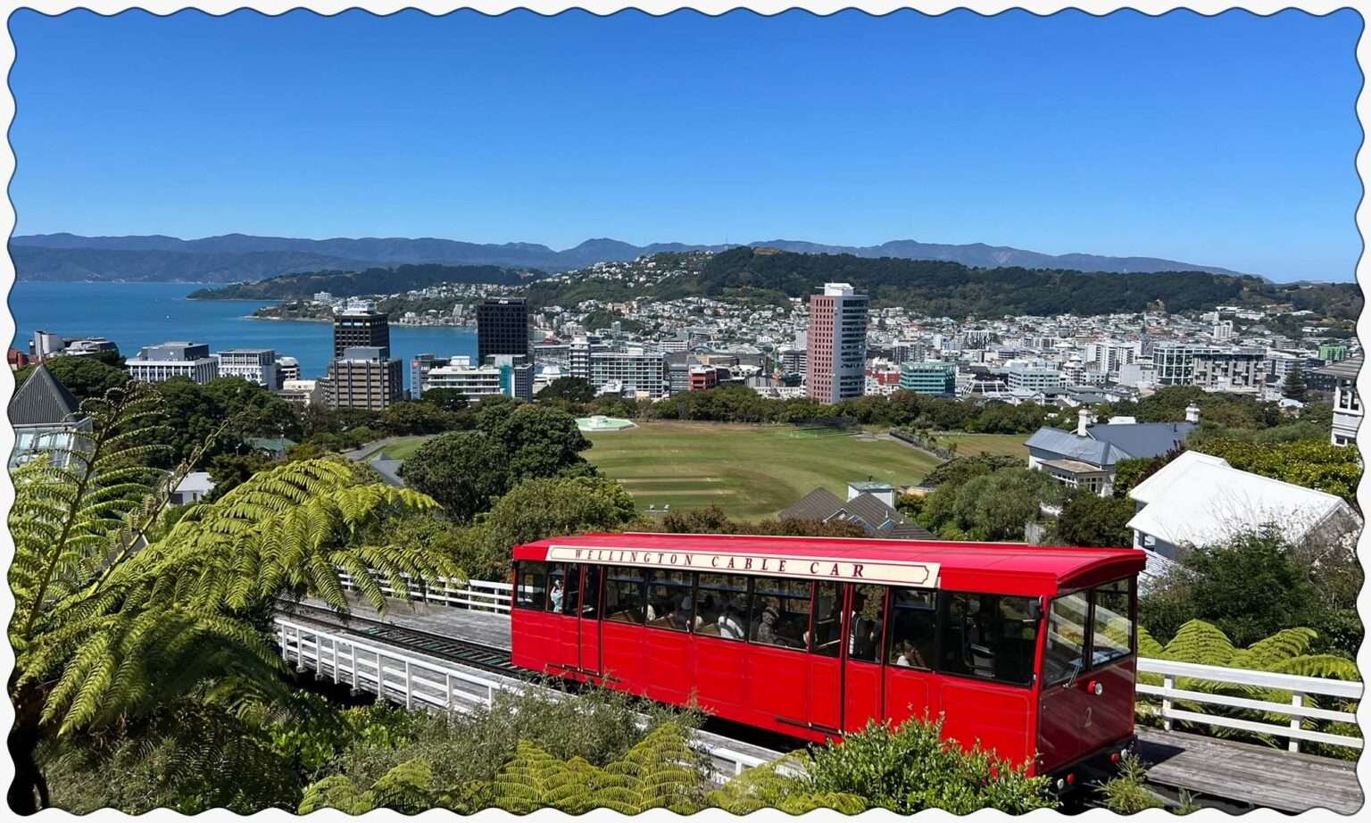 A red cable car going up a hill with a bay in the background in New Zealand's Capital