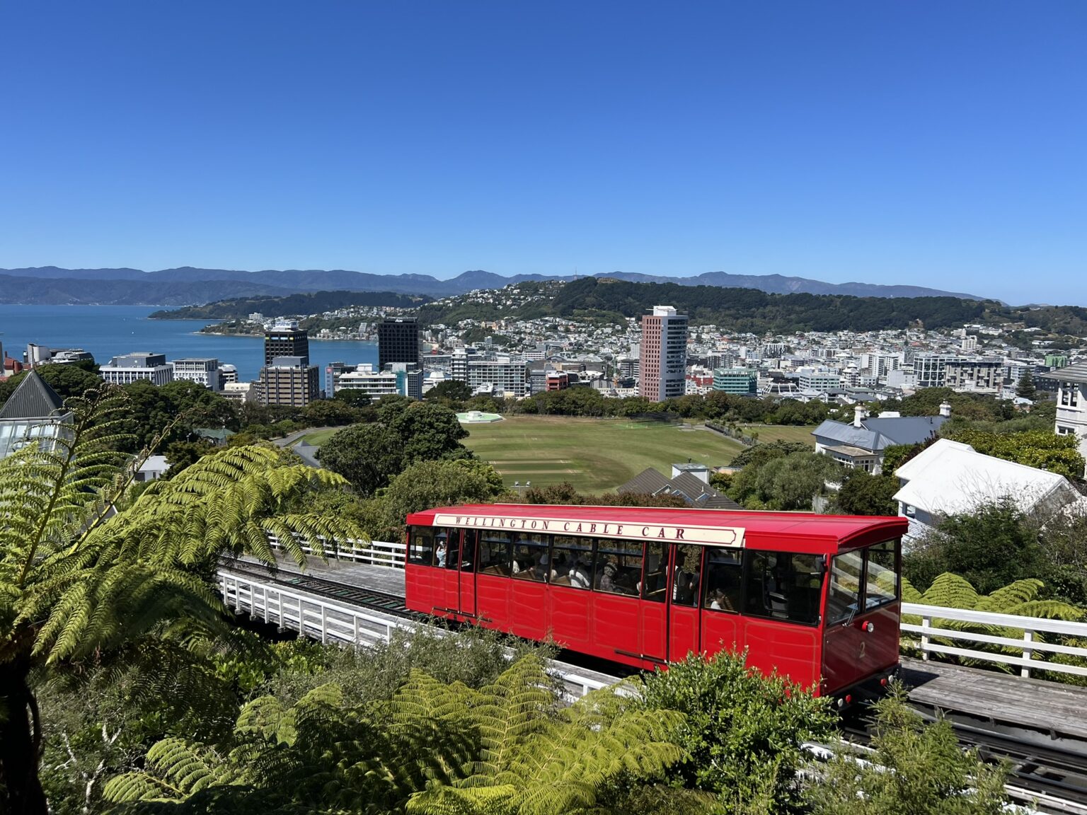 A red cable car going up a hill with a bay in the background in New Zealand's Capital