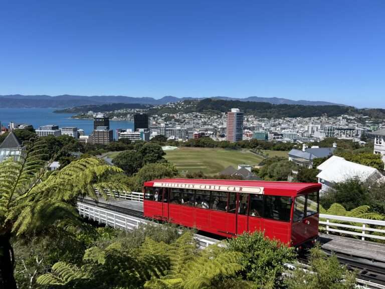 A red cable car going up a hill with a bay in the background in New Zealand's Capital