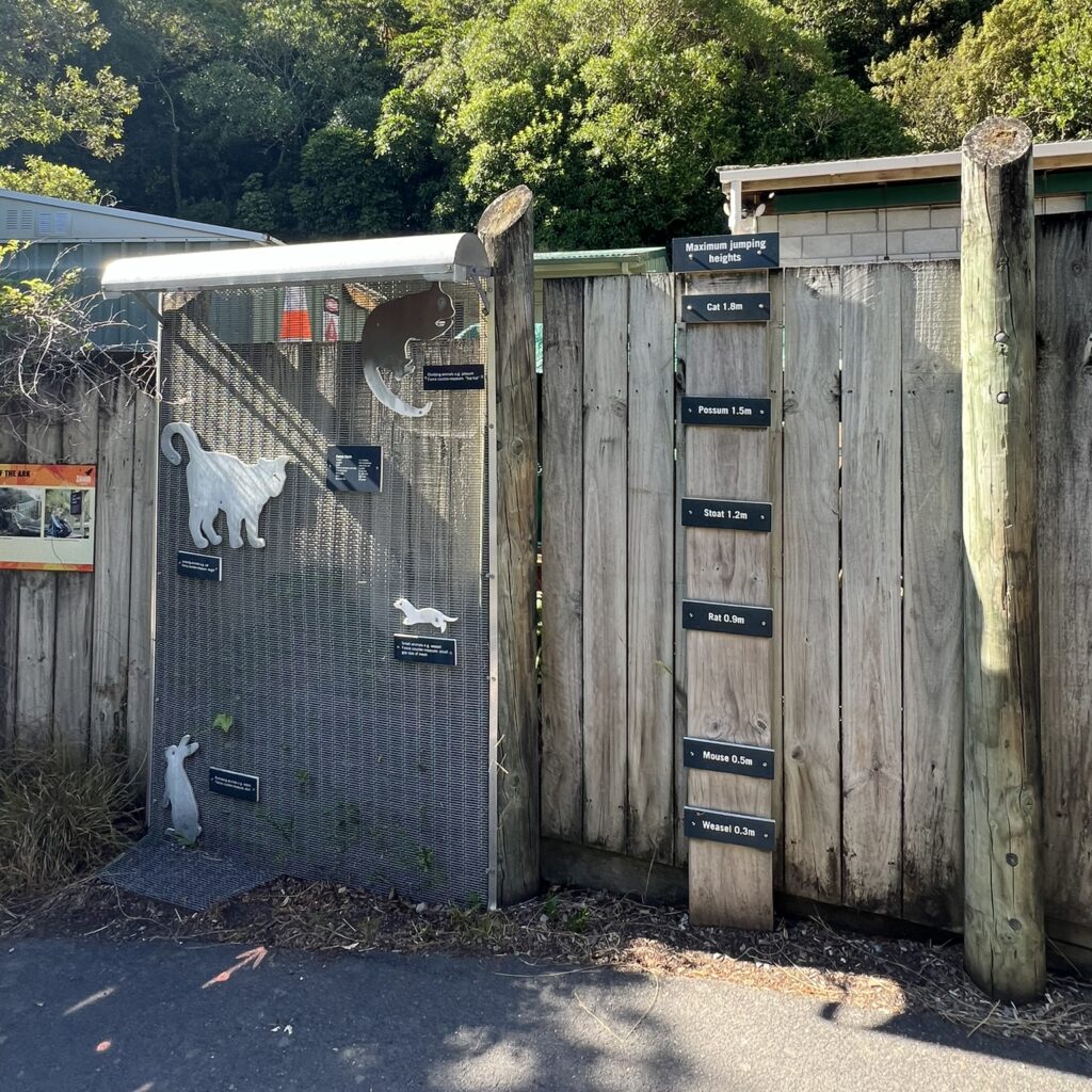 A wooden fence in New Zealand's Capital