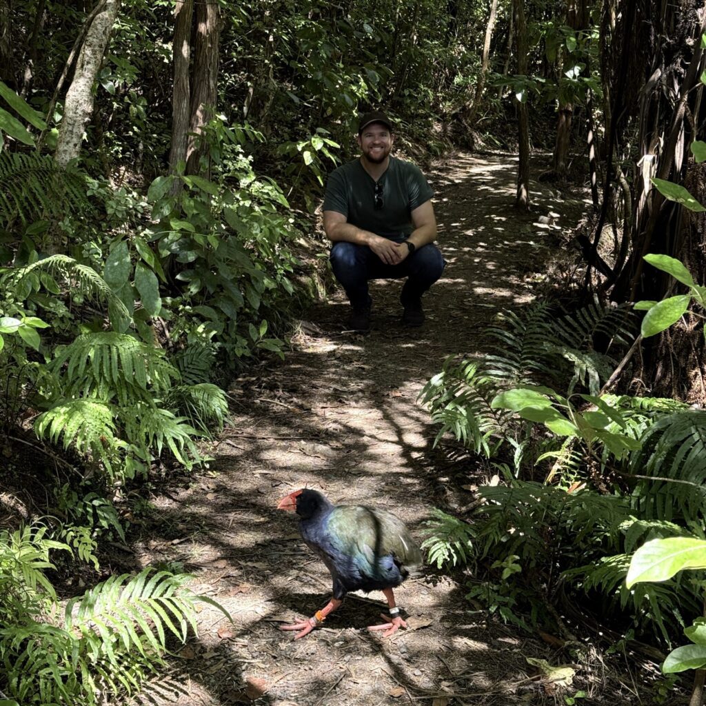 A man crouching behind a large bird in New Zealand's Capital city