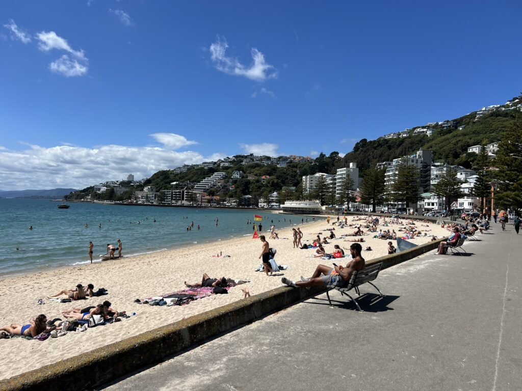 A city beach along a bay in New Zealand's Capital