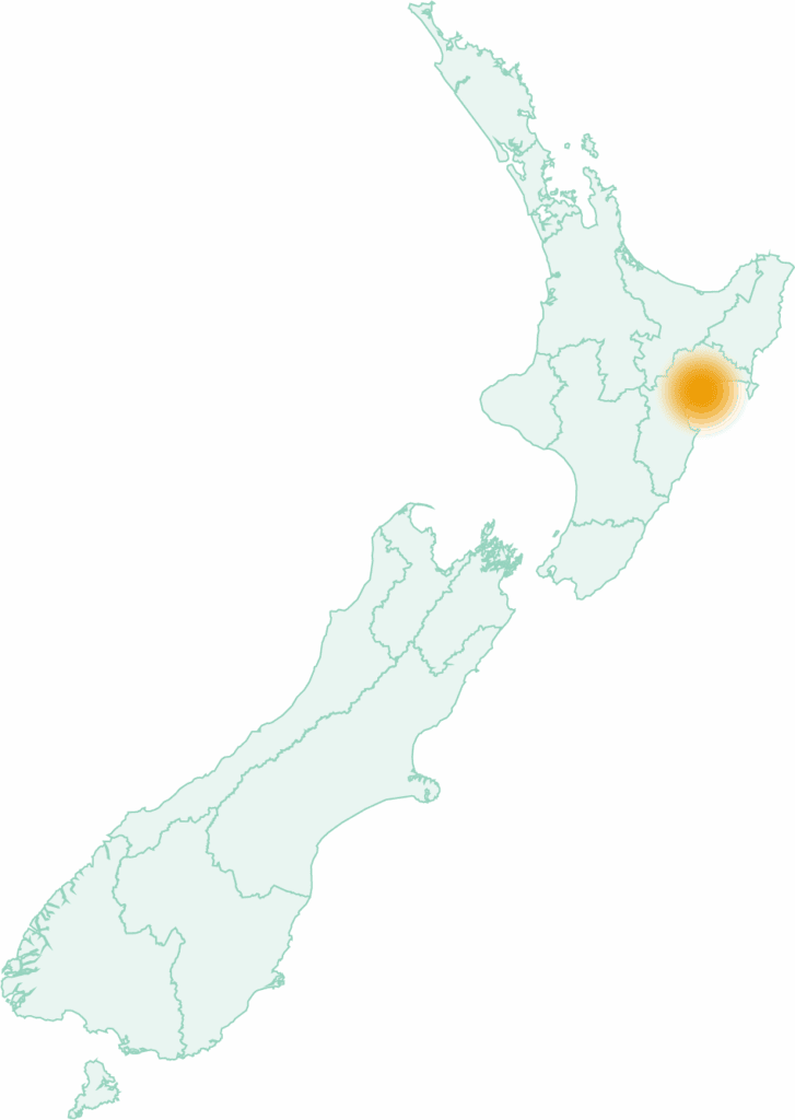 A map of new zealand with a dot on one of the wine regions in New Zealand