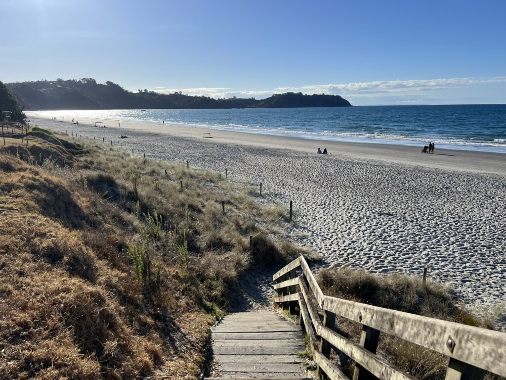 Steps leading down to a beach outside of Auckland, New Zealand
