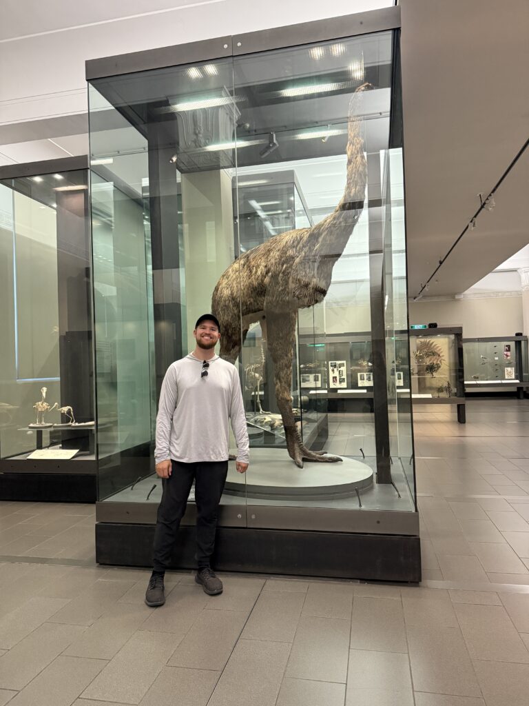 A man standing in front of a giant bird in a museum in Auckland, New Zealand