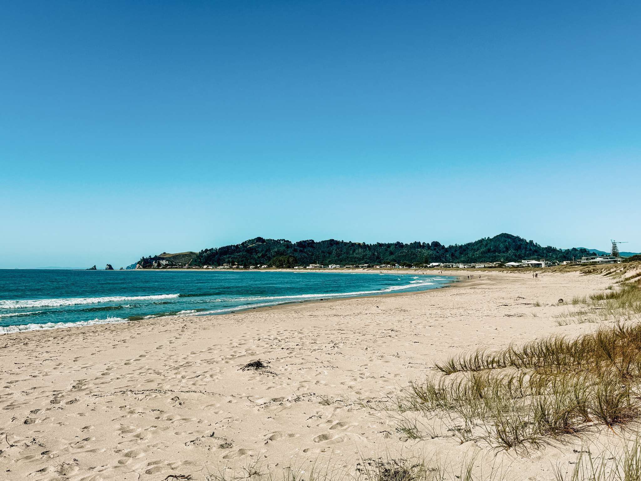The beach adjacent to a town and a good way to compare the south island vs north island