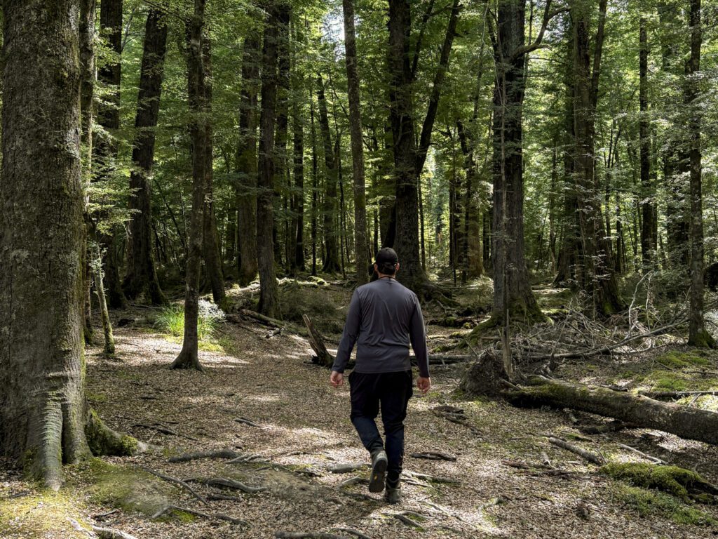 A man running through a forest used as one of the filming locations in the Lord of the Rings