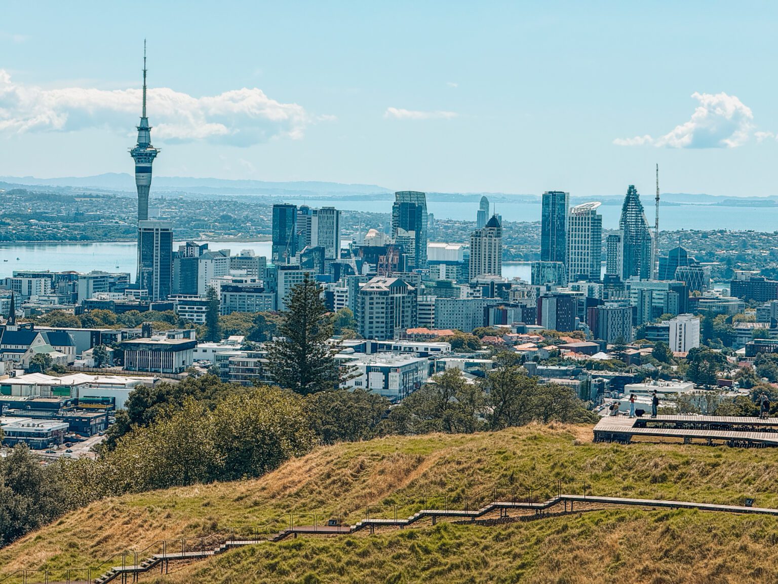 The view of the skyscrapers of Auckland from a hill