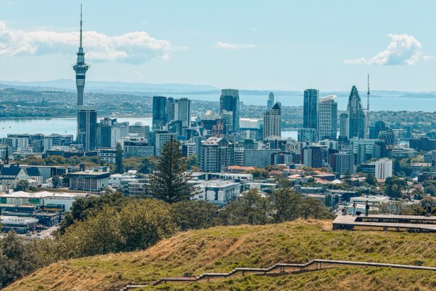 The view of the skyscrapers of Auckland from a hill