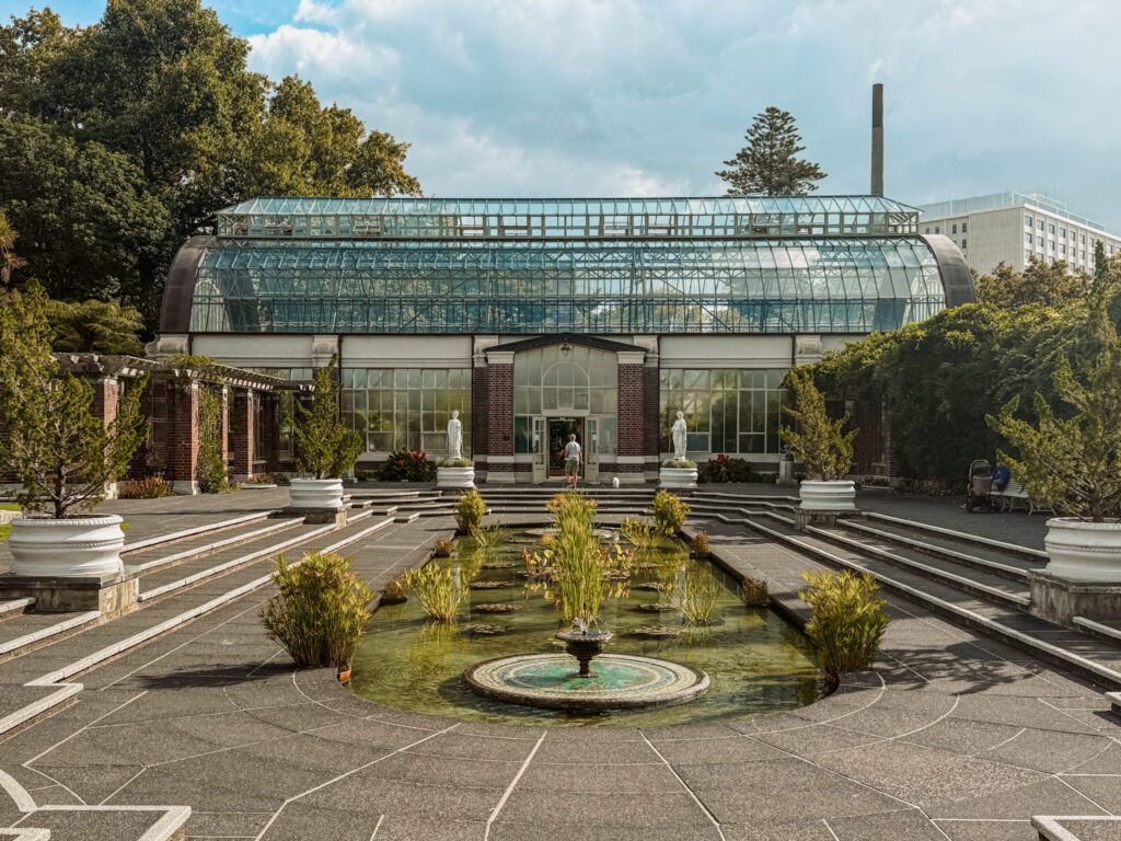 The exterior of a greenhouse in an english style in Auckland