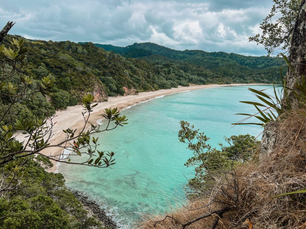 A view over a white sand beach with turquoise water in the Coromandel Peninsula