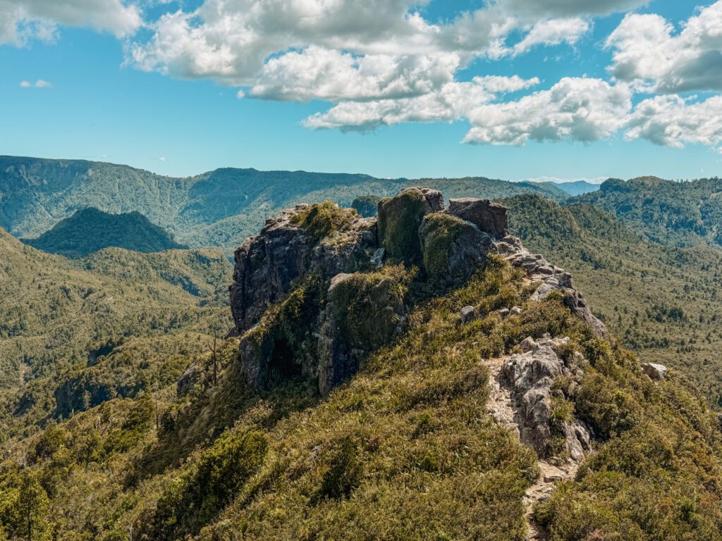 The view over forested mountains in the Coromandel Peninsula