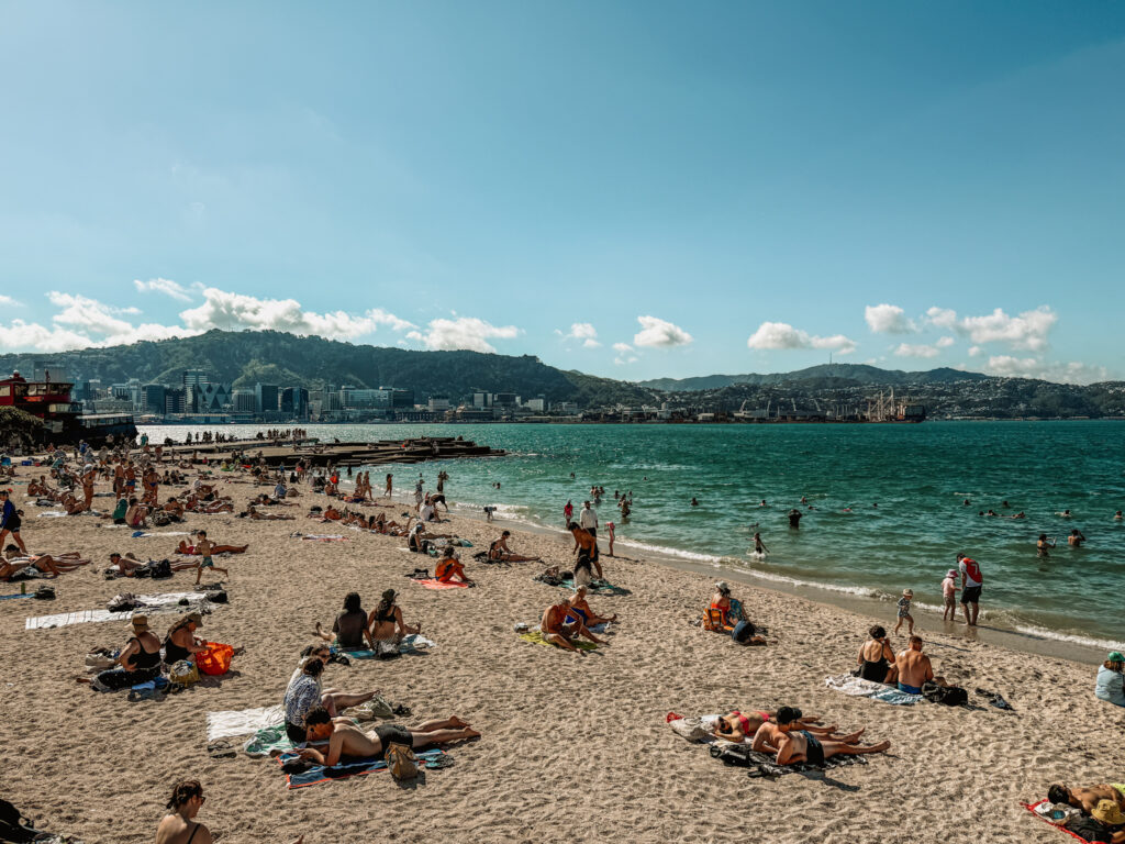 A city beach of New Zealand with people lounging in the sand