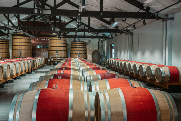 A room full of wooden barrels in one of the wine regions of New Zealand