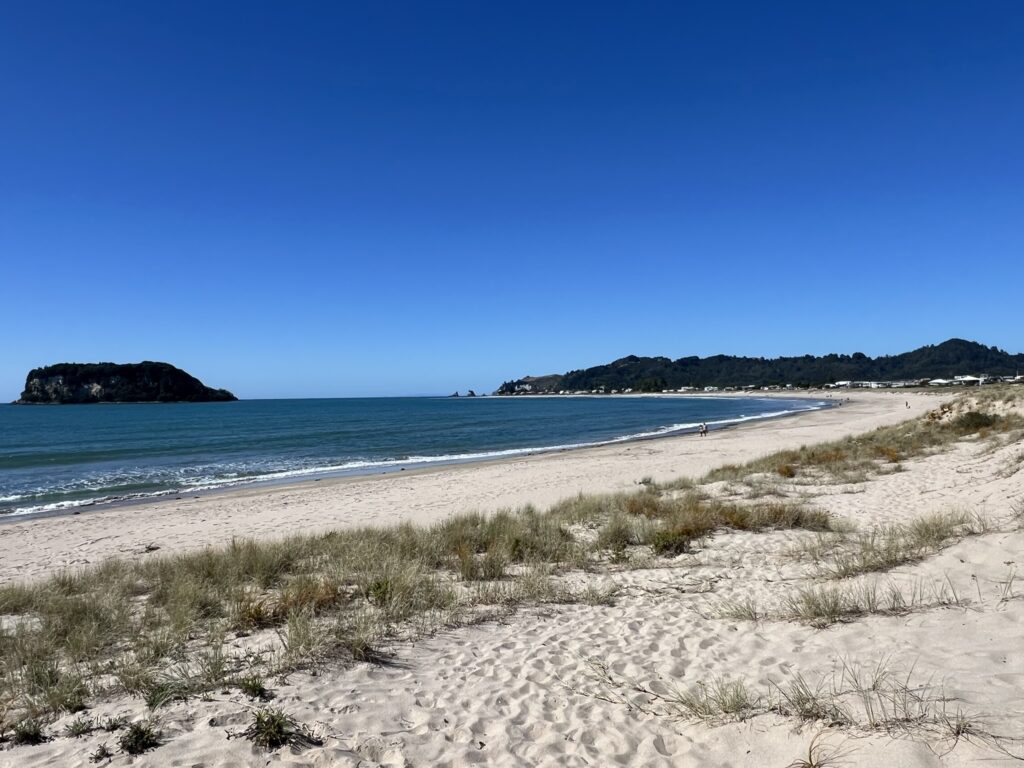 A beach at an ocean on the Coromandel Peninsula