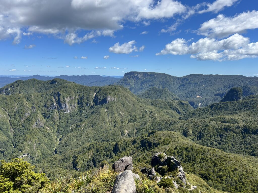 The view from the top of a mountain of forested mountains all around on the Coromandel Peninsula