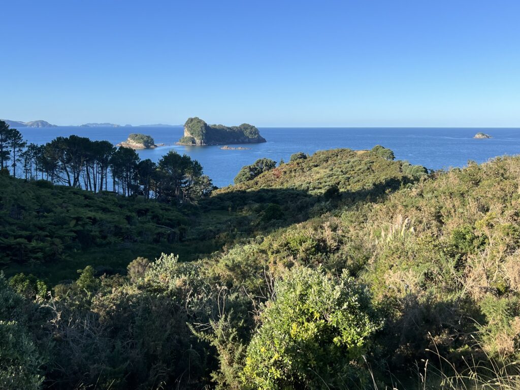 Overlooking a hill in front of an ocean full of large rock formations off of the Coromandel Peninsula