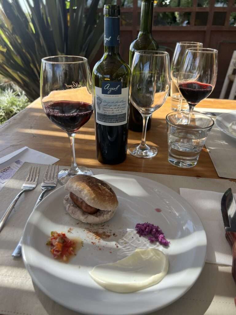 A plate with some bites to eat along with two glasses of wine and a bottle - Argentina food and drinks