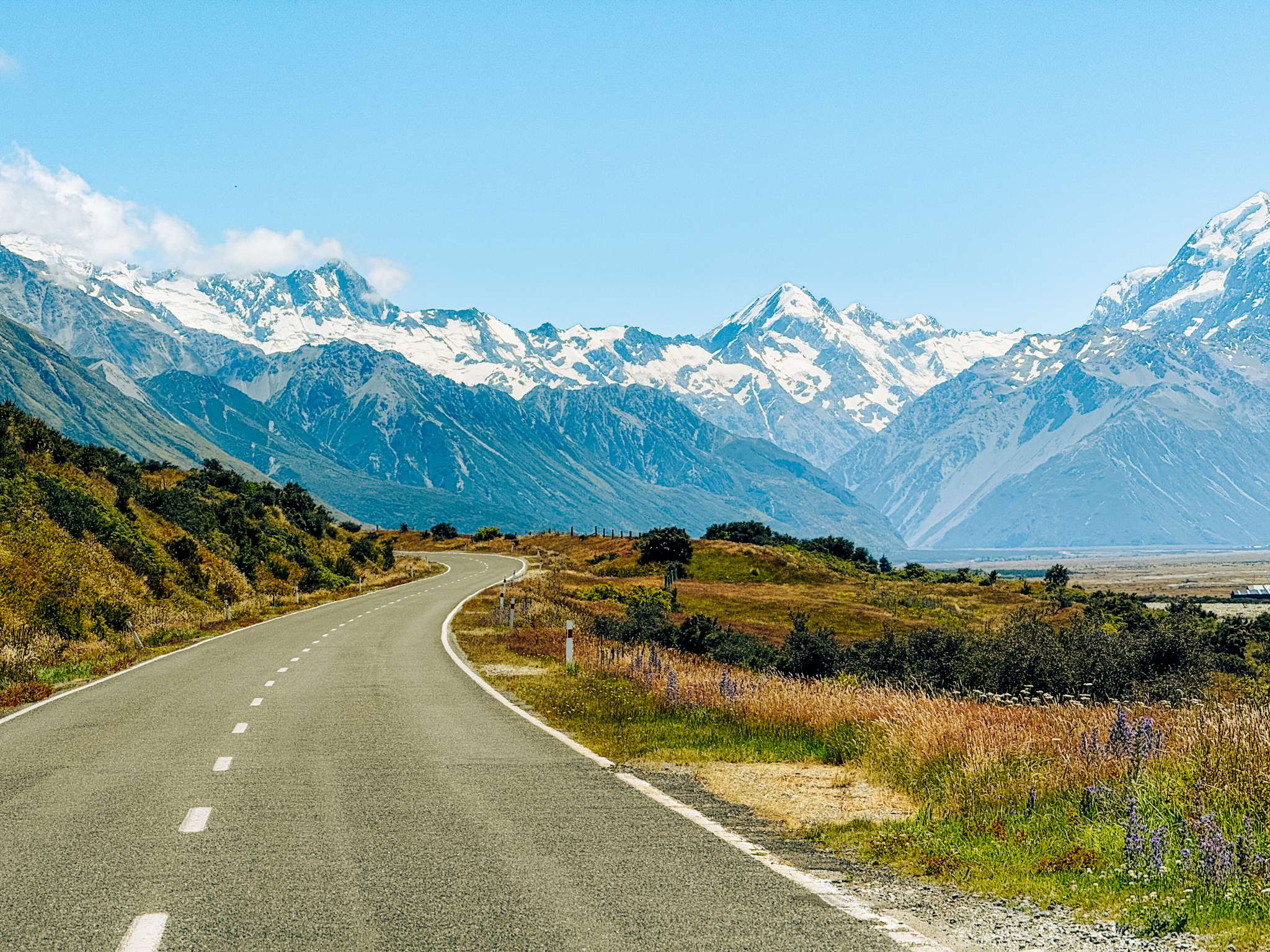 A road surrounded by flowery and grassy plains that leads to snow capped mountains