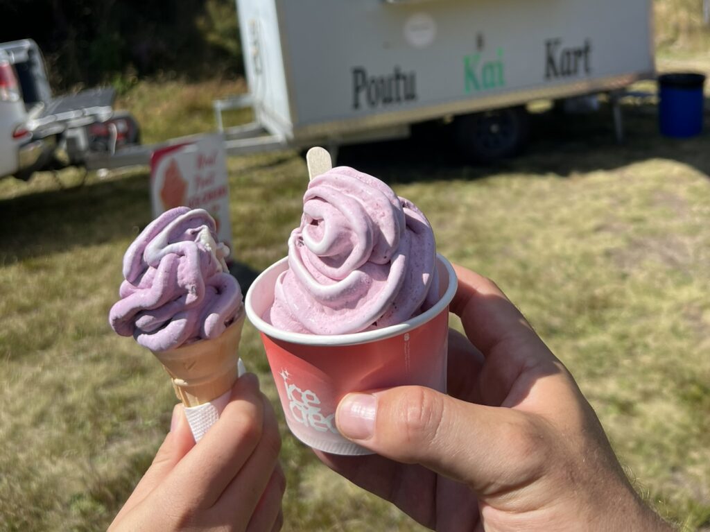 Holding a cone and cup of ice cream to show some of new zealand food and drinks