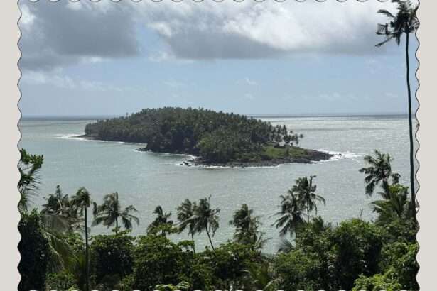 The view off a tropical island onto other islands in a turquoise ocean in French Guiana