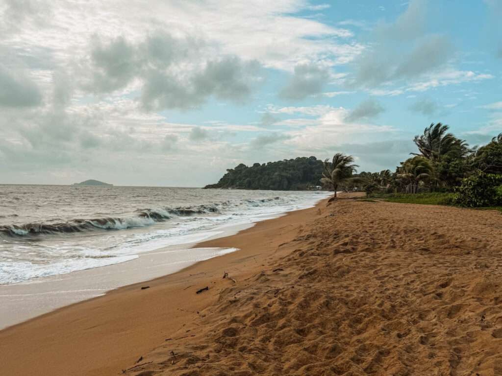 A golden sand ocean beach with forests behind them