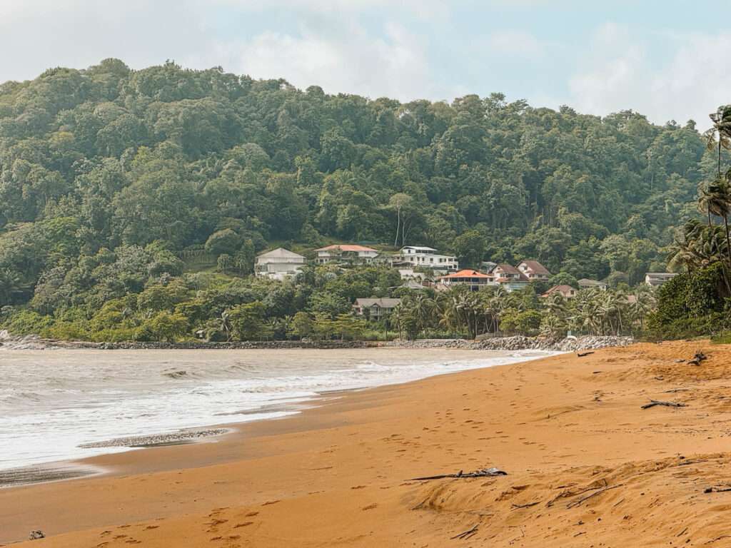 A golden sand ocean beach with forests behind them as part of the French Guiana itinerary