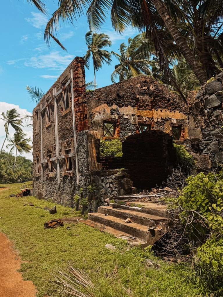 Stone ruins in a rainforest on the Iles du Salut of Kourou