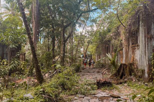 A cobblestone pathway being overrun by a jungle next to a building that's being eaten up by a the jungle in French Guiana