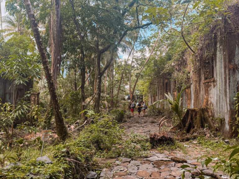 A cobblestone pathway being overrun by a jungle next to a building that's being eaten up by a the jungle in French Guiana