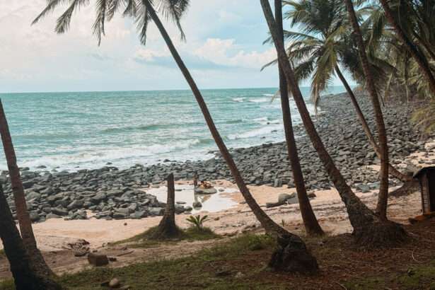 A tropical beach with palm trees and rocks leading to the ocean as one of the things to do in Kourou