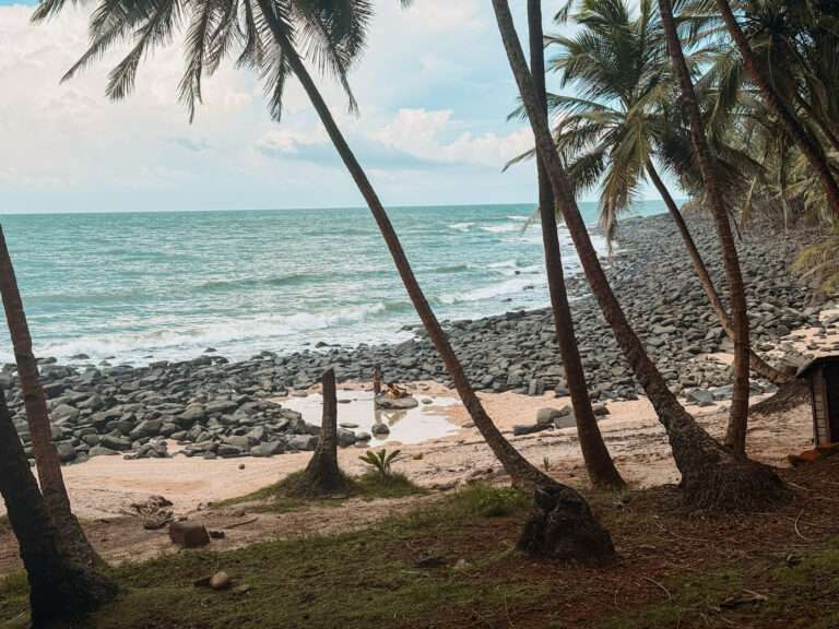 A tropical beach with palm trees and rocks leading to the ocean as one of the things to do in Kourou