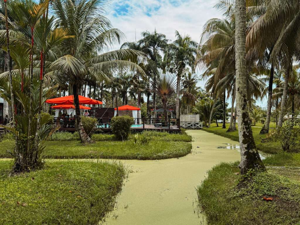 A green creek flowing along tropical grounds with some buildings