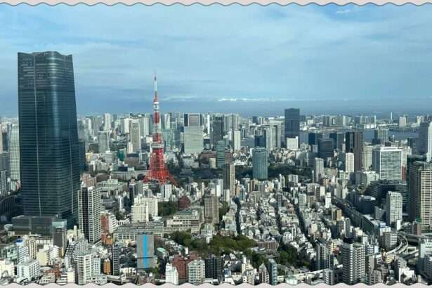 A view of the city of Tokyo, Japan, including the iconic Tokyo tower from an observation tower viewpoint
