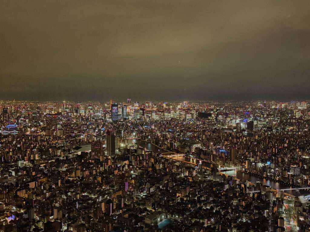 The city of Tokyo below you completely lit up at night