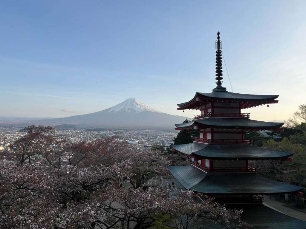 Our final stop of the day at the Chureito Pagoda for sunset over the cherry blossoms and Mount Fuji