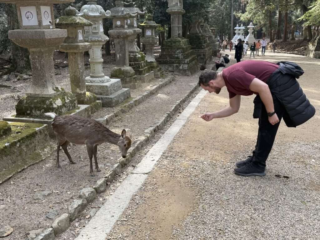 A man and deer bowing on a pathway